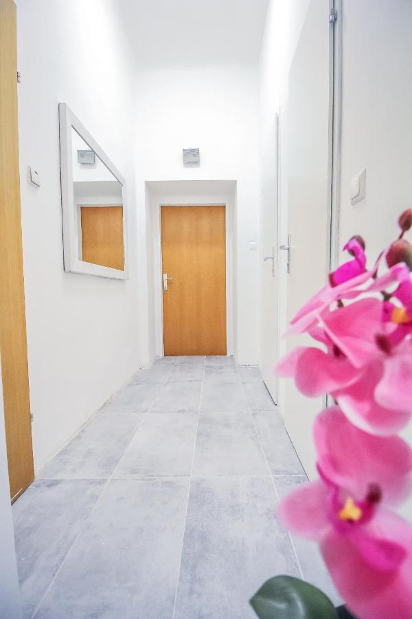 Comfort Quad Room Hn Viyana Dış mekan fotoğraf